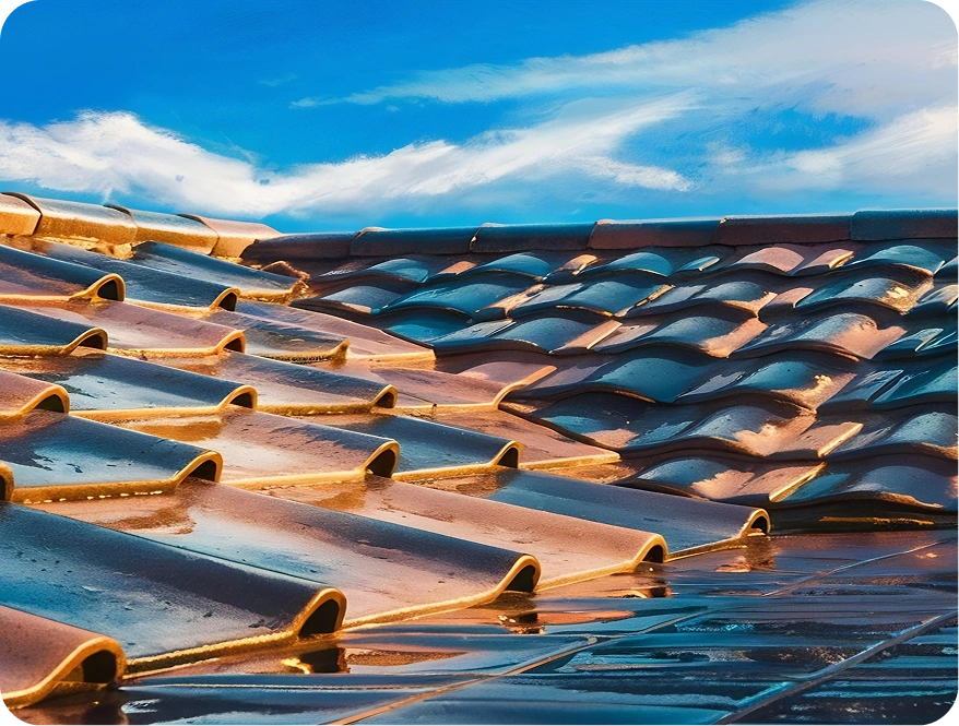 zdjęcie - Renowacja dachu